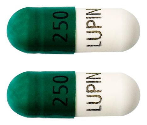 view of Cephalexin (Lupin)
