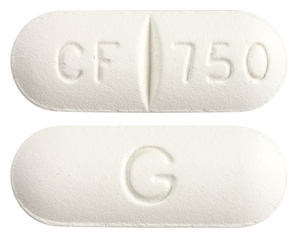 view of C-Flox