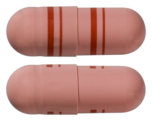 view of Elaxine SR