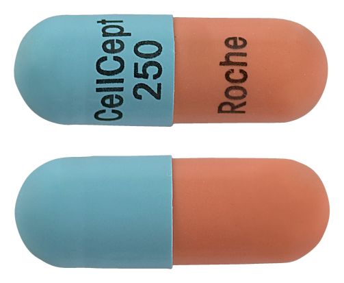 view of Cellcept