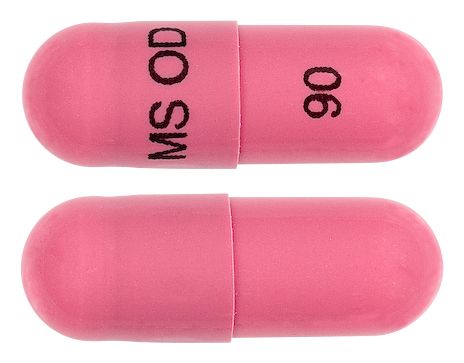 view of MS Mono