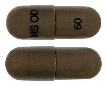 view of MS Mono