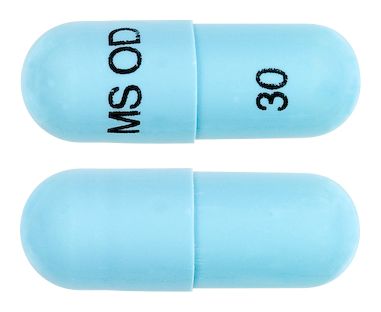 view of MS Mono